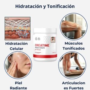 Creatine Monohidratada con Colageno y CBAAs para hidratacion de la piel